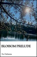 Blossom Prelude